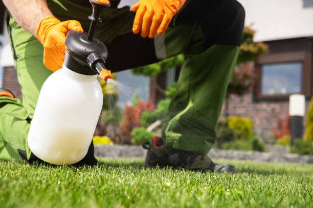Best Termite Control Services  in Richlands, VA