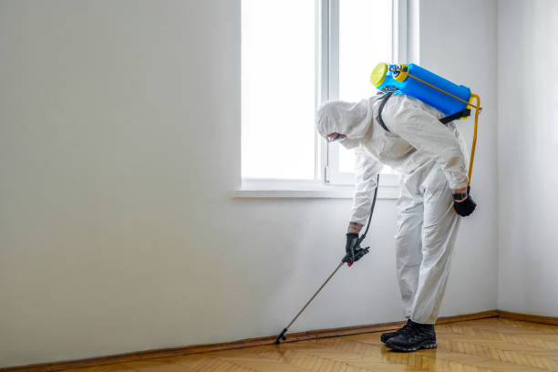 Best Pest Removal Services  in Richlands, VA
