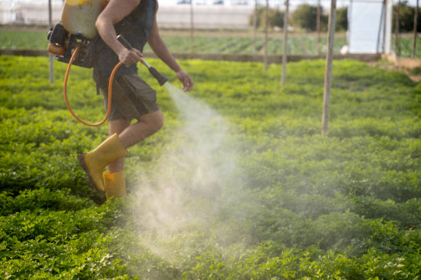 Best Mosquito Control Services  in Richlands, VA