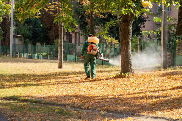 Best Pest Inspection Near Me  in Richlands, VA